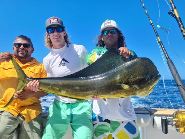 What Is So Special About Roosterfish Fishing Costa Rica?