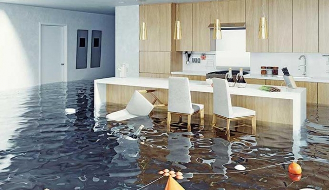 Rain, Leaks & Floods: How LA Homeowners Are Fighting Back Against Water Damage