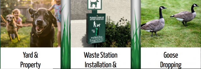 Keeping Kalamazoo and Portage Clean: Professional Goose Droppings and Pet Waste Removal Services!