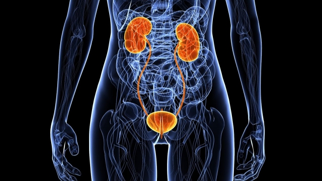 Lupus Nephritis Treatment Market Size, Trends, and Growth Forecast 2025-2032