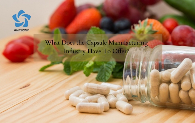 Manufacturing Industry