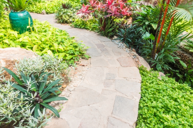 Why Is Landscape Stone in Dallas Becoming the Top Choice for Outdoor Makeovers?