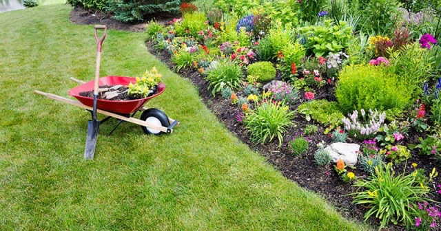 Top 7 Ways a Landscaping Business Coach Can Help You Grow Faster