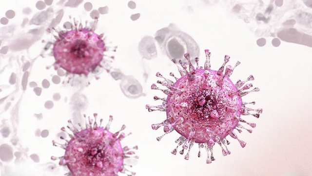 Cytomegalovirus (CMV) Infection Therapeutic Market Size and Growth Analysis 2025-2032