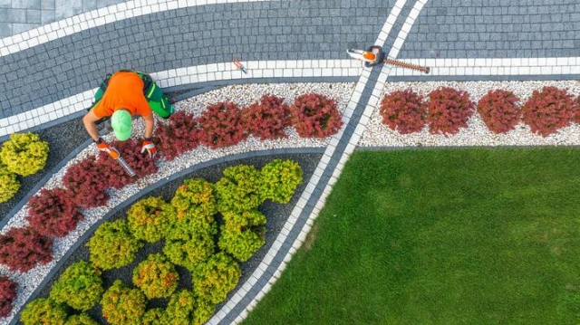 What Landscaping Services Really Entail