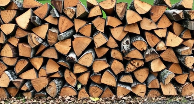 Wisconsin Firewood: Heating Homes Naturally