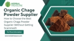 Why This Organic Chaga Powder Supplier Is Becoming Every Wellness Brand’s Secret Weapon!