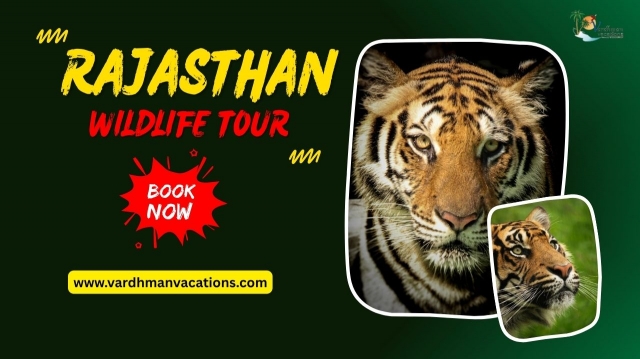 Rajasthan Wildlife Tour: Discovering the Heart Nature
