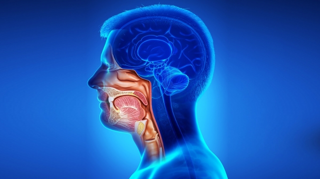 Global Head and Neck Cancer Drugs Market: Size, Trends, and Growth Analysis