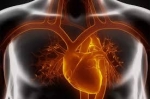 Global Cardiac Amyloidosis Market Size, Trends, and Growth Forecast 2025-2032