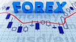 Best Forex Trading Courses in Dubai | MJFXM