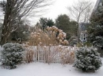 Top Winter Landscaping and Gardening Services in Harriman, TN — Caney Creek Nursery
