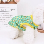Casual T Shirt for Dogs: A Comfortable Choice for Warm Days 