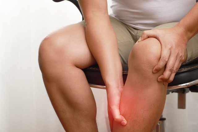 Inclusion Body Myositis Market Size, Trends, and Growth Forecast 2025-2032