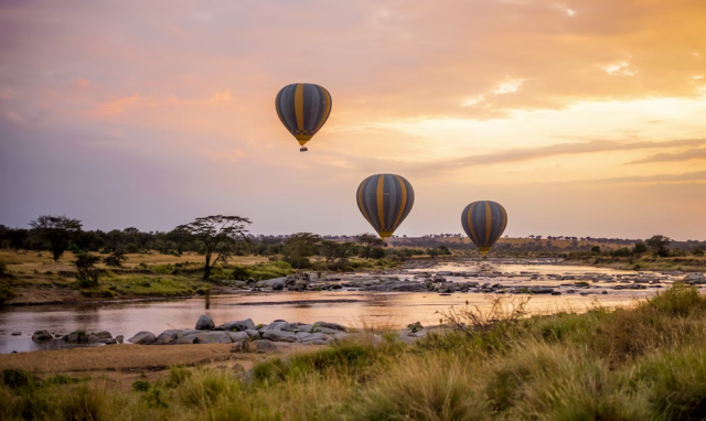 The Great Safari Circle: Serengeti Plains, Maasai Warriors & Uganda’s Giants:
