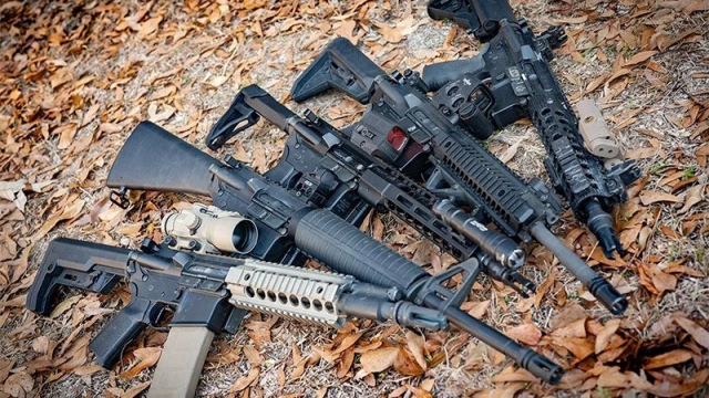 What are the best assault rifle in 2025