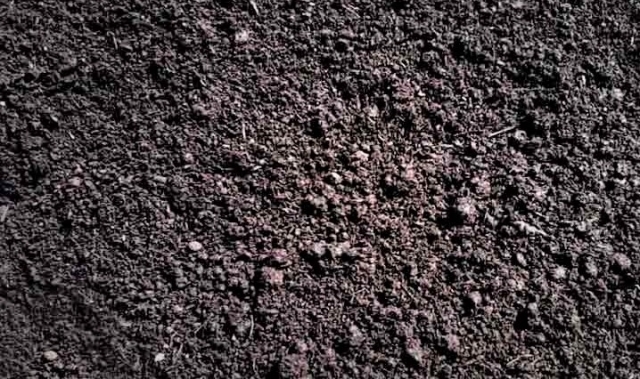 Eco-Friendly Mulch Options Cedar Hemlock Pine Delivered to Your Garden