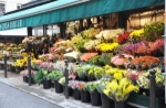 Pick Professionals at Flowers Mart to Get the Best Flower Bouquet 