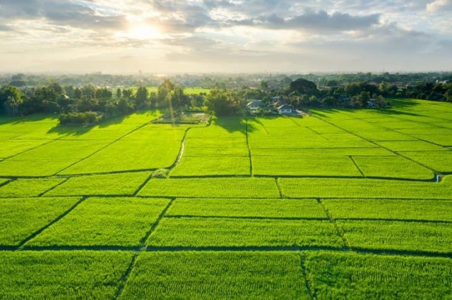 SJR Vivo City Nelamangala – Plots Starting ₹51 Lakhs