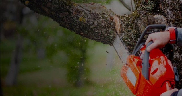 Transforming Outdoor Spaces: The Rise of Expert Landscaping in San Antonio
