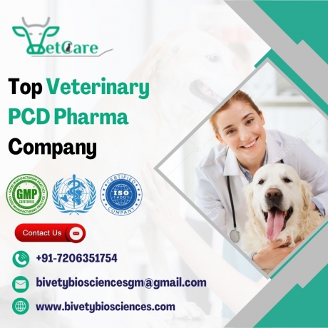 Key Qualities That Define a Top Veterinary PCD Pharma Company