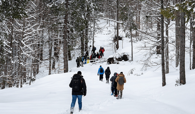 Discover a Frozen Wonderland: Johnston Canyon Ice Walk Tour Is the Ultimate Winter Experience