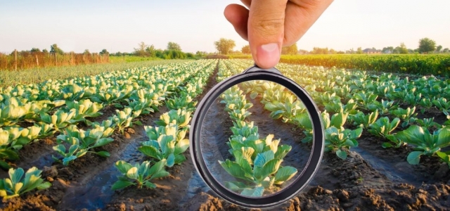 United States Agrochemicals Market Research, Forecast by 2025-2033 | Reports and Insights