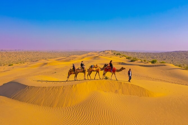 Jaisalmer Desert Camp: A Night Under the Stars in the Thar