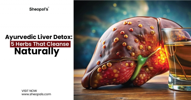 Can Liver Detox Medicine Help With Acne and Hormonal Imbalance?