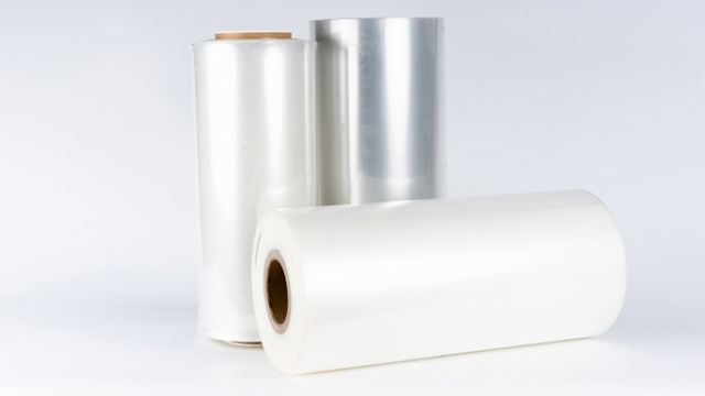 Mono-Material Packaging Film Market Forecast and Trends, Size, Share 2025-2033