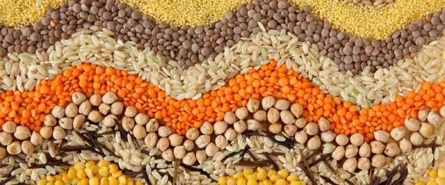 Whole Grain Foods Market Growth, Trends, and Strategic Outlook 2025-2032