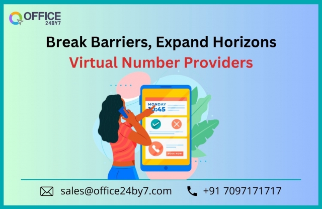 Break Barriers, Expand Horizons: Virtual Number Providers