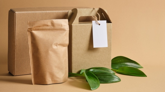 Market Drivers Future Prospects of Plant-Based Packaging  2025-2032