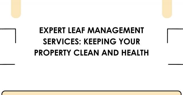 Expert Leaf Management Services for Clean, Healthy Landscapes 