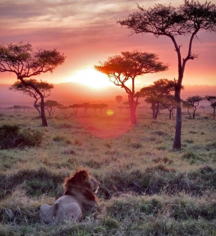 Tanzania Private Safari 