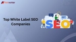 Top White Label Seo Companies
