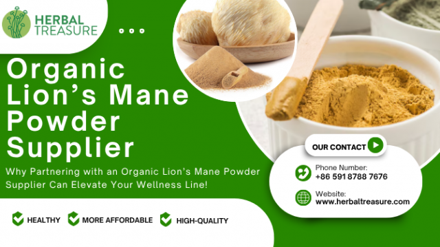 Why Partnering with an Organic Lion’s Mane Powder Supplier Can Elevate Your Wellness Line!