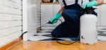 best pest control services in Lucknow