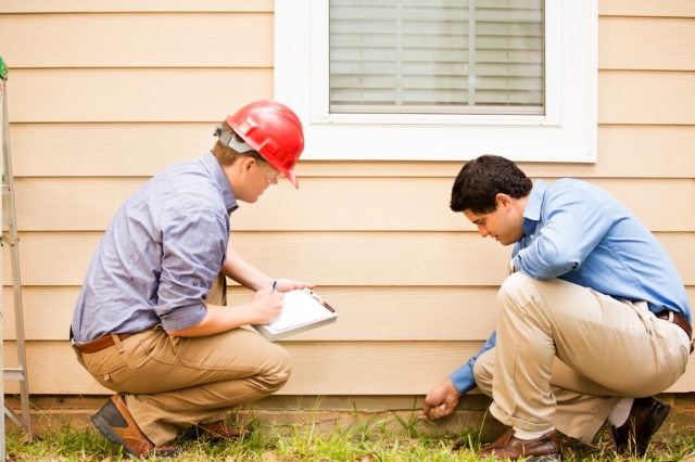 Termite Inspection in New Jersey - 1