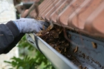 Seasonal Cleaning Tips for Spotless Commercial Cleaning in Kochi