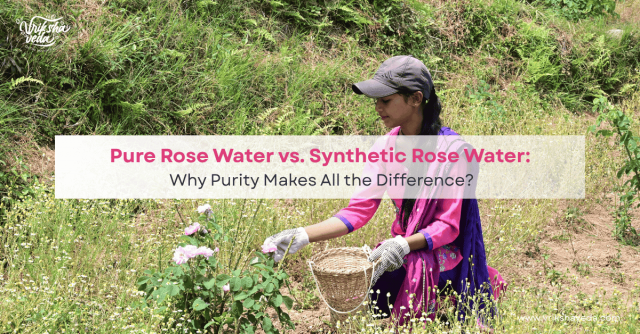 Pure Rose Water vs. Synthetic Rose Water: Why Purity Makes All the Difference?