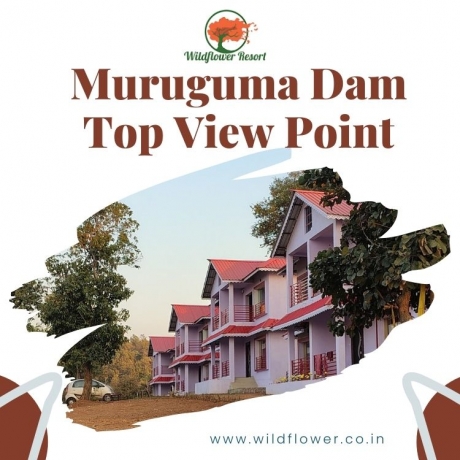Muruguma Dam Top View Point: A Breathtaking Window to Nature’s Canvas