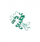 Microbial Lysozyme