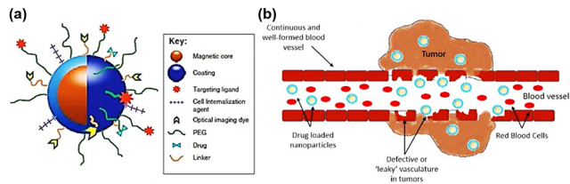 Bio-Targeted Small Molecules Conjugated Magnetic Nanoparticles for Targeted Cancer Therapy