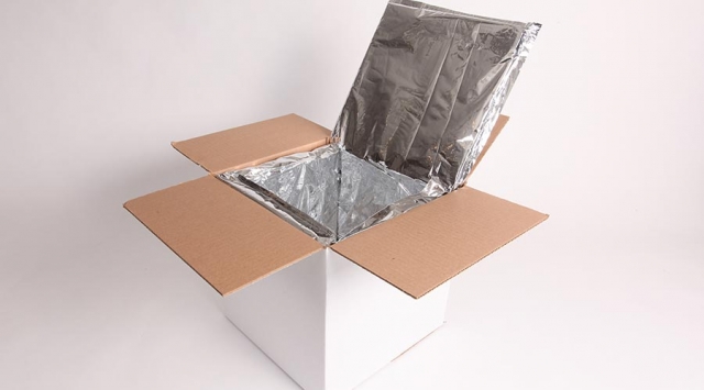 Insulated Packaging Market Size, Growth, and Strategic Outlook 2025-2032