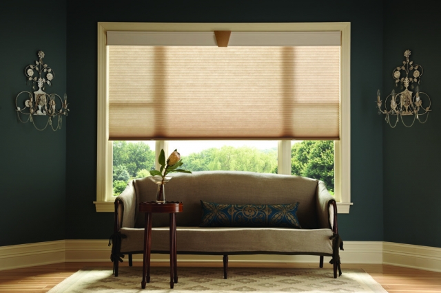 Window Shade Market Growth Outlook and Strategic Trends Analysis