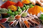 Choosing the Right Indian Spices Supplier: Key Factors for Long-Term Success