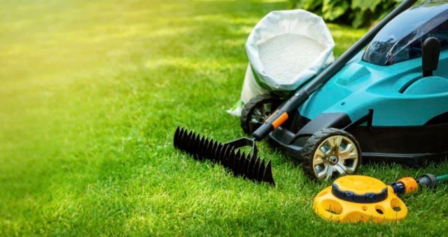 Why Regular Lawn Care Services Improve Soil Health
