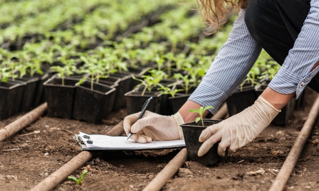 How to Rewild Your Garden for a Healthier Planet