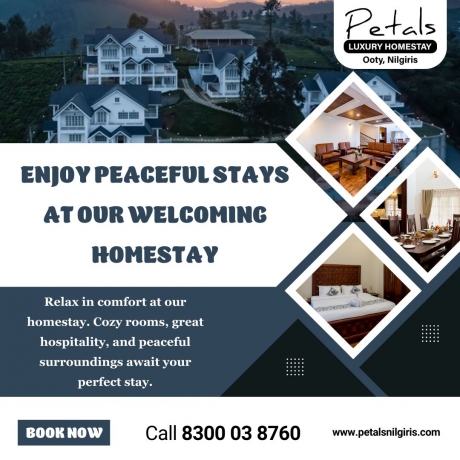Petals Ooty: Living the Nilgiris Naturally, Without the Luxury Price Tag